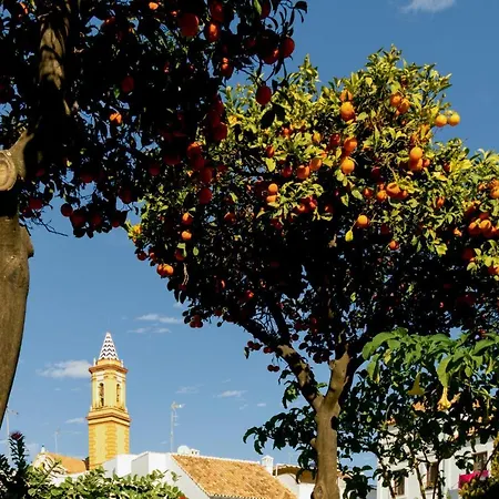 Apartment Casa Azul - Boutique By Casa Del Patio (adults Only) *